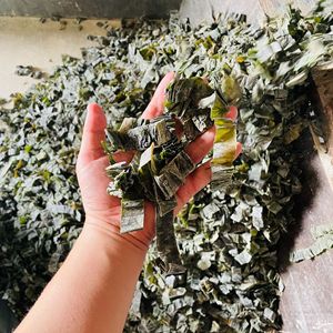 Commercio all'ingrosso diretto della fabbrica strisce di alghe essiccate senza sale Laver alla rinfusa per uso commerciale di piatti caldi frutti di mare essiccati - Product Image 2