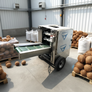 Machine de traitement et d'extraction des fibres de coco / Machine de défibrage et de broyage du coco - Product Image 3