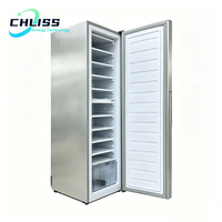 Congélateur vertical solaire 198L 11 niveaux, machine à glaçons DC hors réseau, congélation rapide pour îles et zones éloignées