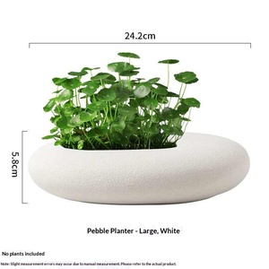 Non-perforated Minimalist Universal Hydroponic Flower <b>Pot</b> Simple Creative Pennywort Golden Kudzu Hydroponic Plants <b>Large</b> - Product Image 6