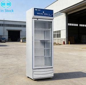 Réfrigérateur commercial à porte unique H 288L, vitrine à glace, réfrigérateur vertical pour bière <span class=keywords><strong>Redbull</strong></span>, armoires à boissons, <span class=keywords><strong>prix</strong></span> d'usine - Product Image 1