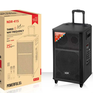 NDR-415 Enceinte sur chariot double 15 pouces 12V12A 100W pour fêtes en extérieur et usage domestique, avec USB, TWS, connexion sans fil, NDR-415, grande puissance, woofer - Product Image 1