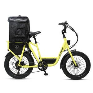 Bicicleta Eléctrica de 20 Pulgadas con Cuadro de Acero, Batería de Litio de 48V, Motor de 250W en la Rueda Trasera, Entrega Rápida, Cuadro de Acero R, ¡Gran Venta! - Product Image 4