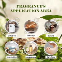 Huile de parfum de luxe inspirée, sans marque, concentrée, en vrac, type d'imitation, pure et essentielle, aux longues tenues de parfum