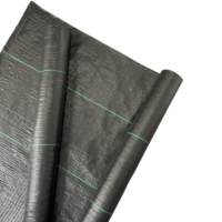 Toile agricole tissée en PP résistante aux intempéries, robuste, perméable à l'eau, 100 g/m², largeur 1m/2m, pour usage en pépinière agricole