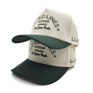 Gorra de béisbol de 5 paneles con logotipo bordado personalizado, MOQ bajo, OEM, robusta, lisa, esencial, artículo de marca para la cabeza - Product Image 3