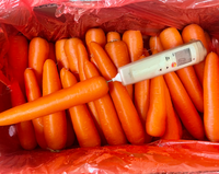 Carottes fraîches d'origine Shandong, légumes frais de Chine