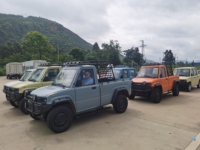 Mini camionnette bon marché chinoise Mini camionnette électrique Mini camionnette électrique Mini camionnette 4x4
