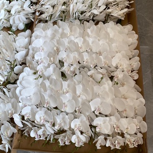 Real Touch Phalaenopsis <span class=keywords><strong>artificiale</strong></span> decorazioni per matrimoni all'ingrosso lattice farfalla orchidee fiori di <span class=keywords><strong>orchidea</strong></span> <span class=keywords><strong>artificiale</strong></span> - Product Image 3