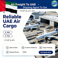 Agente de Transporte, Carga Aérea, Seguimiento de Mercancías a Emiratos Árabes Unidos, Dubái, Servicio de Logística, Envío, Entrega, Transporte
