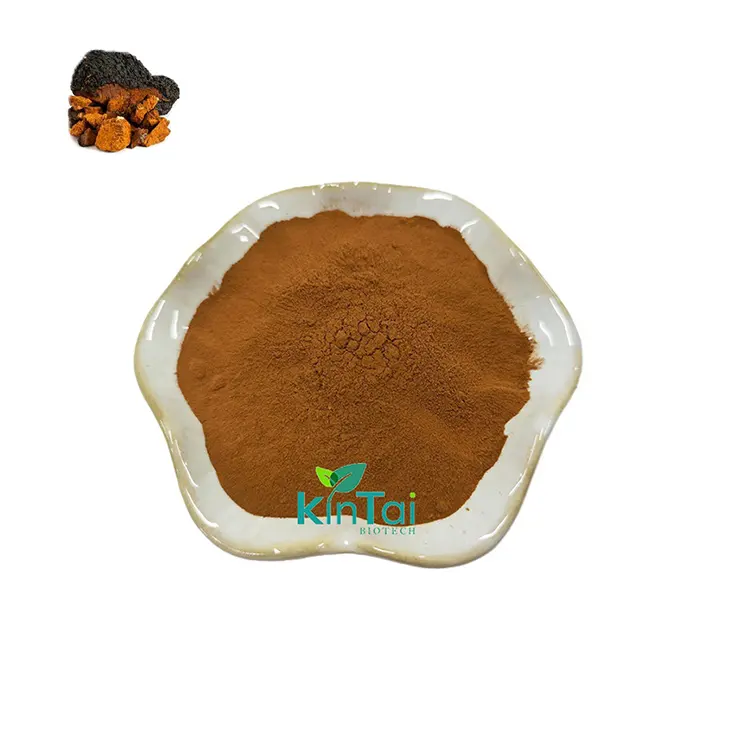 Cung cấp nước hòa tan Chaga nấm chiết xuất polysaccharides 30%-50% Chaga chiết xuất Chaga bột