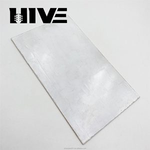 HIVE Wholesale Exquisite Abalone <strong>Shell</strong> Sheet Decorative White <strong>Shell</strong> Board for Guitar Decoration - Product Image 5