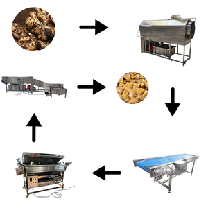 Équipement de lavage et de pelage continu automatique motorisé pour légumes et fruits, destiné aux usines ou lignes de transformation alimentaire - Product Image 2
