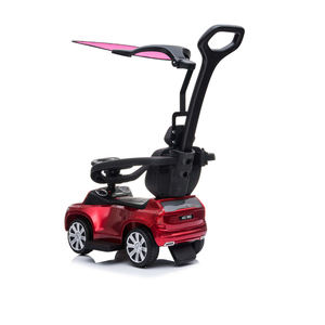 Coches de empuje para niños, con mango y Capon - Product Image 3