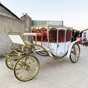 Elegant Royal Electric Carriage Battery Powered Luxury Tour Cart for Scenic Area Wedding Hotel Resort and Outdoor Events - Product Image 3