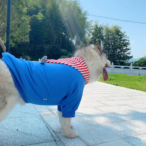 เสื้อยืดมีฮู้ดสำหรับสุนัขและมนุษย์ดีไซน์เนอร์ใหม่ฤดูใบไม้ผลิฤดูร้อนเสื้อผ้าสุนัขผ้าฝ้ายสำหรับสัตว์เลี้ยง - Product Image 3