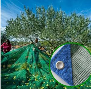 हेडप मजबूत और मजबूत उव उपचारित ग्रीन मोनो फिलामेंट जैतून का उपचार कृषि के लिए शुद्ध कैचर - Product Image 5