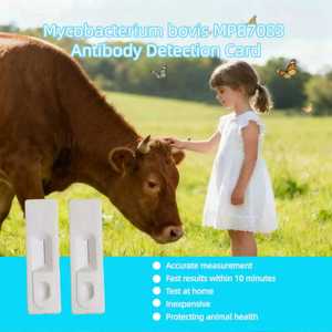 OEM Xinyueke Bovine <strong>Ketosis</strong> Rapid <strong>Test</strong> <strong>Strip</strong> Veterinary <strong>Diagnostic</strong> <strong>Strips</strong> Model SZ-003 for Commercial &amp; Home Use - Product Image 3