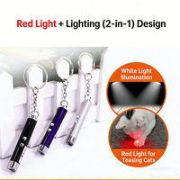 En stock, nouveau jouet pour animaux de compagnie, stylo laser pour chat, pointeur laser LED, baguette laser infrarouge pour chat, accessoires pour animaux de compagnie