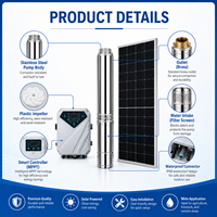 Pompe à eau solaire submersible DC de 4 pouces avec contrôleur MPPT pour l'irrigation agricole en puits profond
