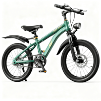 Bisiklet 20 "BMX bisiklet/üretim iyi fiyat ücretsiz tarzı bisiklet 20 inç sokak BMX bisiklet ile disk fren