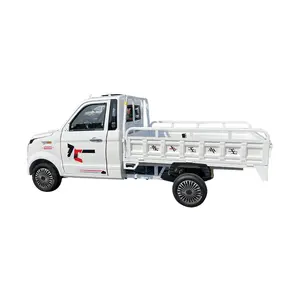 Ev kamyonet elektrikli pikap kamyon kamyonet ticaret elektrikli pick up kamyon 4x4