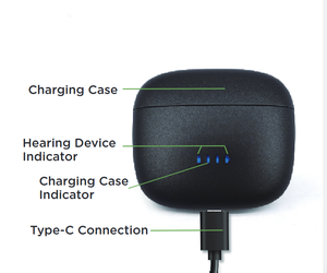 Aide auditive rechargeable Retone China avec <span class=keywords><strong>3</strong></span> microphones intégrés, 16 canaux, aimant puissant pour les personnes âgées - Product Image 4