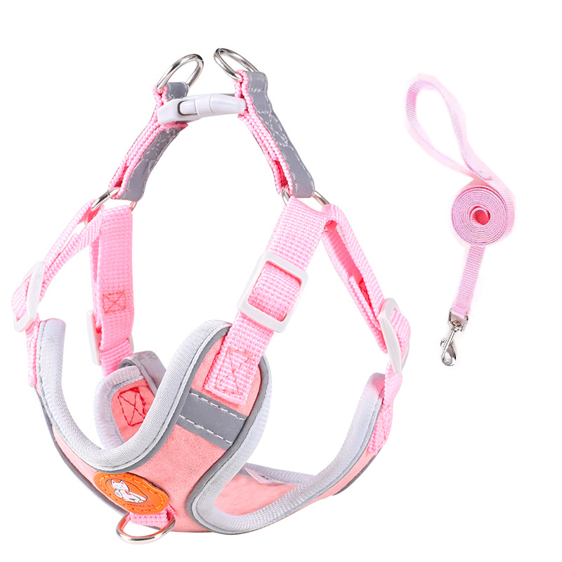 1Harness+1 leash