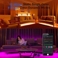 ESann iOS Android App télécommande sans fil DC 5V 12V 24V SP108E bande Led Pixel Led contrôleur WIFI numérique