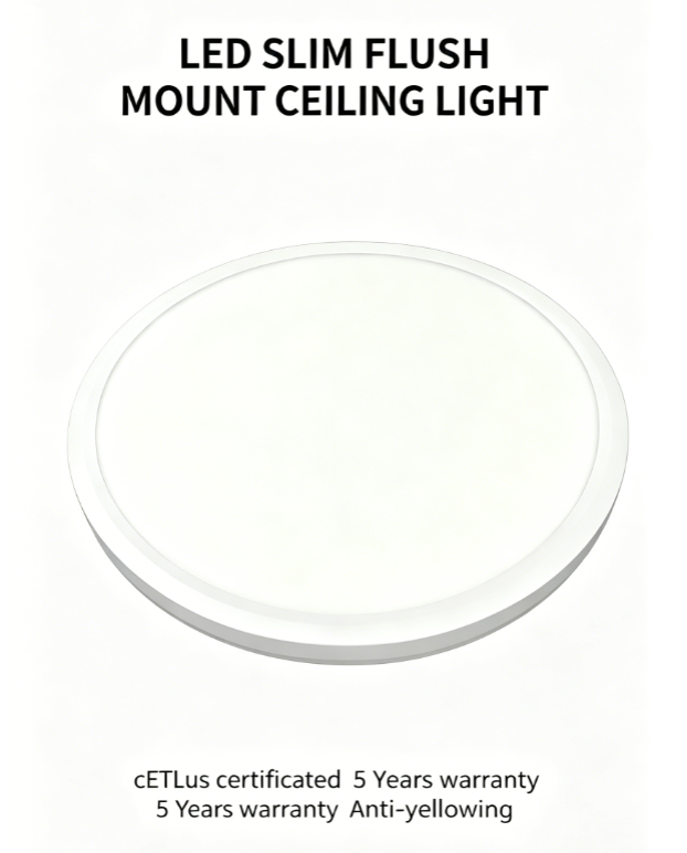 LED Slim Flush Mount Ceiling Light Modern Indoor Ceiling Lamp for Home Bedroom Living Room