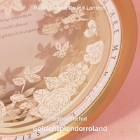 Kit de Lanterne 3D Vdyuan en Papier Découpé Rose, Lumière Nocturne Faite à la Main, Ensemble de Bricolage Portable, Petite Lampe de Style Chinois Culturel