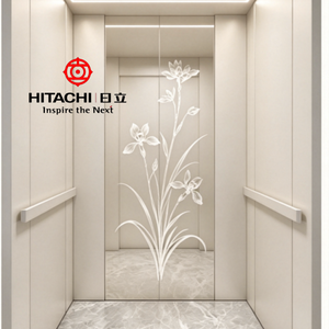 Ascenseur domestique Hitachi, pièces d'ascenseur résidentiel, ascenseur pour villa, ascenseur pour maison - Product Image 5