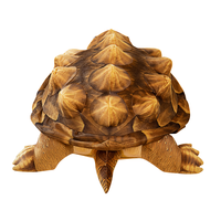 Peluche de Tortuga Personalizado, Juguete de Peluche de Tortuga, Decoración de Tortuga, Regalo, Peluche Suave para Bebés, Peluche de Tortuga