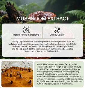 AMULYN - Café de <span class=keywords><strong>Hongos</strong></span> Orgánico de Grado Alimenticio de Marca Privada en Polvo con Mezcla de Extracto de Cordyceps, Reishi y Melena de León - Product Image 3