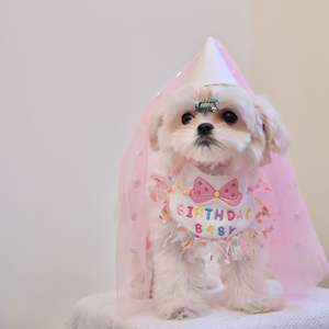 Bavoir et chapeau d'anniversaire pour animaux de compagnie Ensemble de fête pour chiens Accessoires pour chiens Bandanas Plus de styles pour choisir Accessoires d'anniversaire pour chiens - Product Image 2