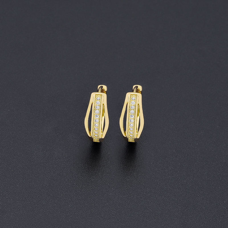 Earrings 2