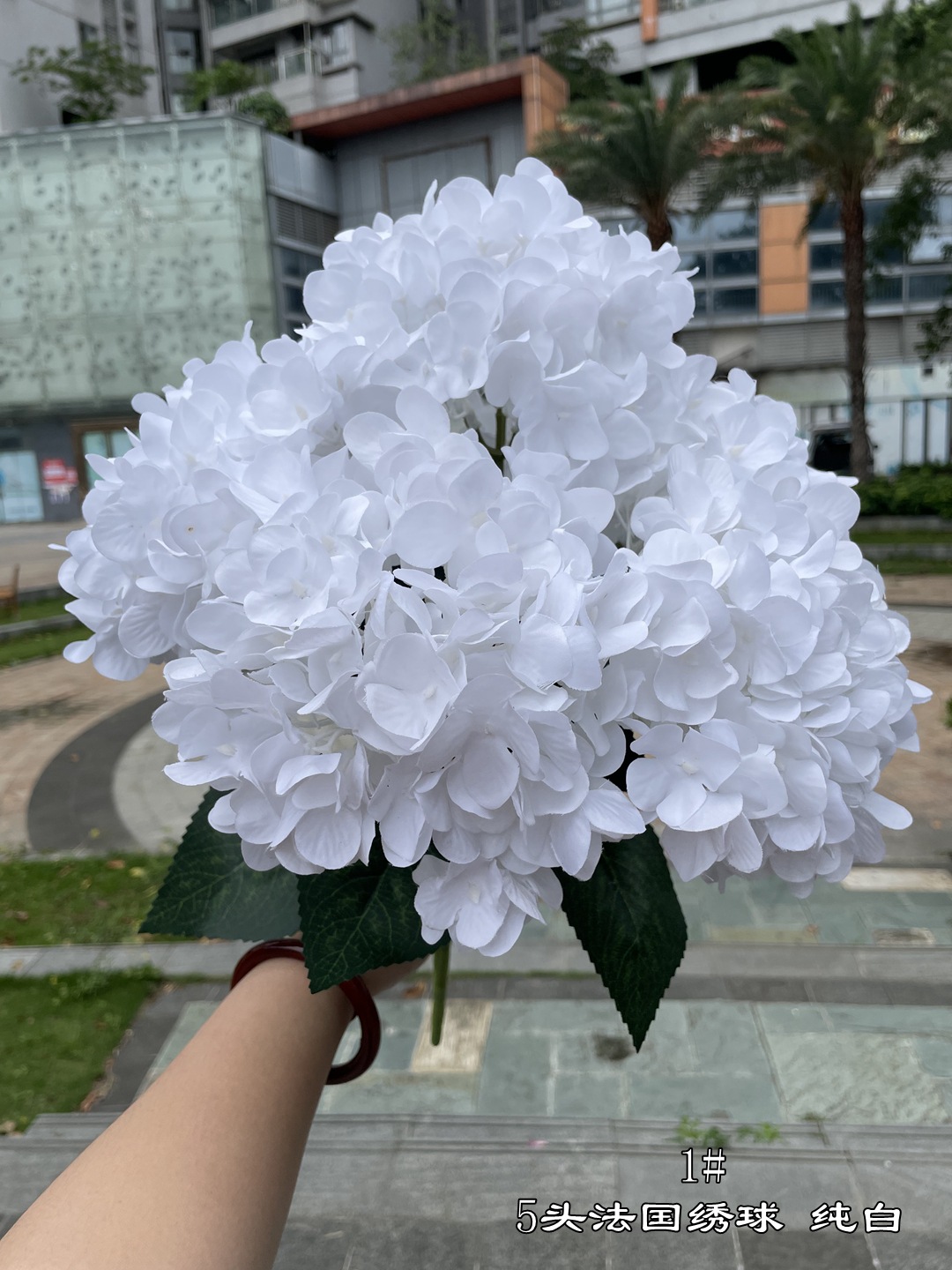 1# 5 head french hydrangea pure white