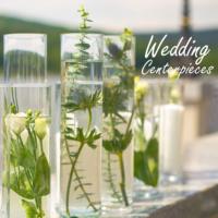 Vente chaude grand grand classique multiple taille sol fleur cylindre verre désherbage verre cylindre sol vase