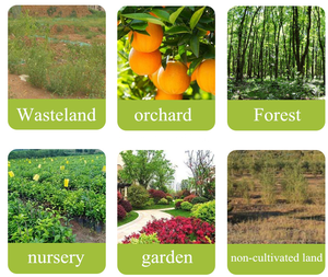 Glifosato de Amonio 95% SG, Glifosato 86% SG, <span class=keywords><strong>Herbicida</strong></span> Sistémico de Alta Concentración para Huertos Cítricos - Product Image 2