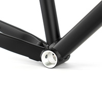 Harga Terjangkau Sepeda Gravel G2max Rangka Aluminium dengan Garpu Karbon, Rem Cakram Thru-Axle, Ban 700x50C, Termasuk Headset
