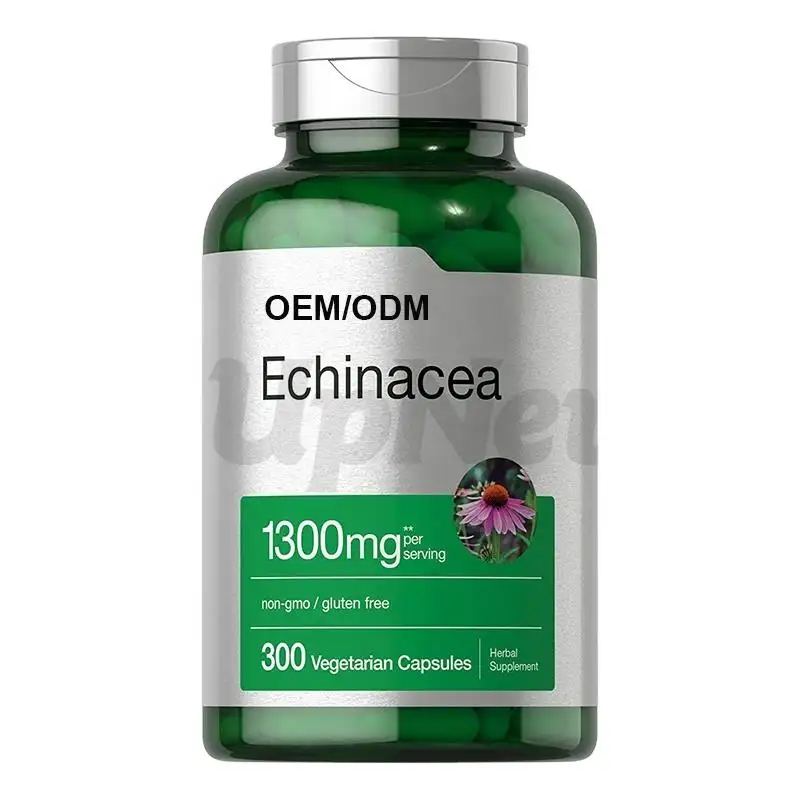 Odm & Oem Zuiverheid Echinacea Capsules Immuunsysteem Bloedsuiker Ondersteuning Kruidensupplementen Echinacea Extract Poeder Capsule