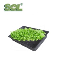 Jardinière carrée modulaire SOL écologique en plastique biodégradable pour toit vert, avec trous de drainage et auto-arrosage pour la maison