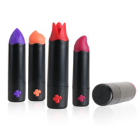 Leistungsstarker Bullet-Vibrator Erotikspielzeug für Erwachsene Silikon Austauschbarer Vibrations-Lippenstift Mini-Vibrator Sexspielzeug für Frauen
