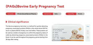 Bovine Kit tes kehamilan Dini (BVDV), bovin Viral Diarrhoea Virus <span class=keywords><strong>Antigen</strong></span>/tes perpanjangan tes Virus Swine Afrika - Product Image 3
