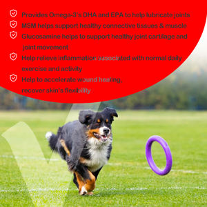 Échantillon gratuit OEM de gouttes liquides pour les hanches et les articulations pour chiens Dog <span class=keywords><strong>Company</strong></span> Supplément de glucosamine liquide extra fort pour le soutien des articulations - Product Image 5