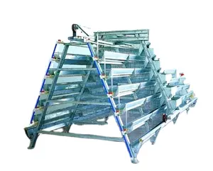 Automatic Chicken layer Cages with Manure Cleaning System for Chicken Farming