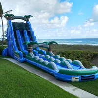 Toboggan gonflable Offre Spéciale de palmier avec la grande glissière pleine d'entrain de PVC de piscine pour des enfants et des adultes