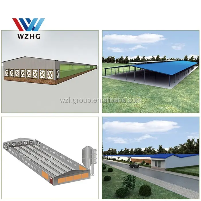 Prefabカスタム家禽ファームQ355B Q235B鉄骨構造の家10000個鶏家鋼金属小屋牛小屋販売のため