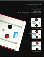 Balise de signalisation clignotante à LED rouge et bleue double face, alimentée par énergie solaire, directe usine, portable, en ABS, pour circulation nocturne