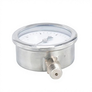 Manometro Medico a Tubo di Bourdon in Acciaio Inossidabile Double-An Y100 con Intervallo di Misurazione 0-600mmHg - Product Image 5